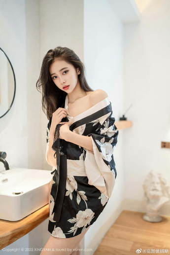 安装步骤示意图